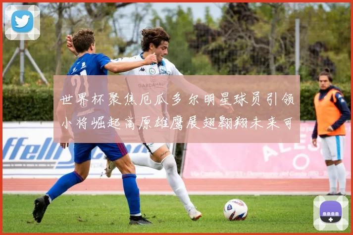 世界杯聚焦厄瓜多尔明星球员引领小将崛起高原雄鹰展翅翱翔未来可期